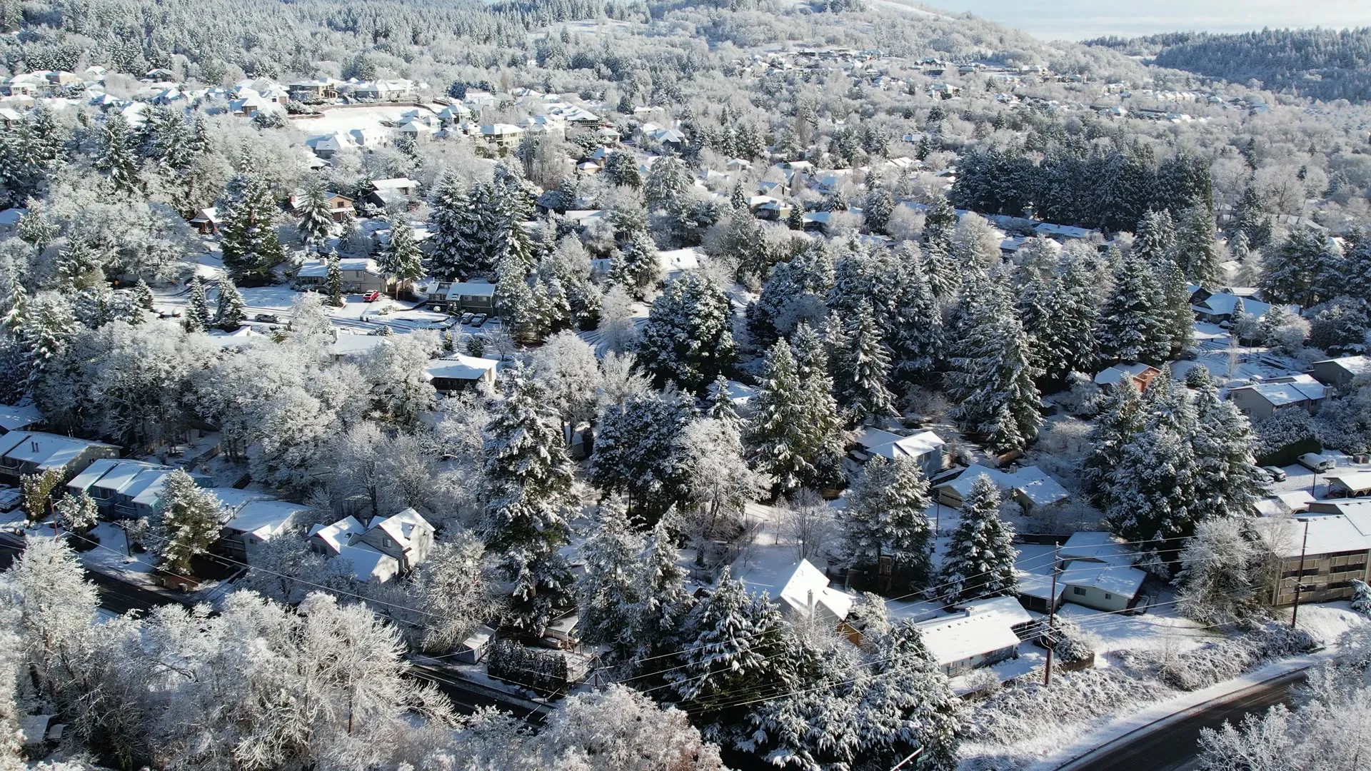 Aerial drone photograph of a snow-covered neighborhood among evergreen trees